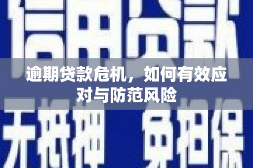 市中区逾期贷款危机，如何有效应对与防范风险