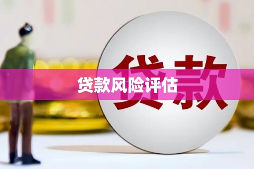 市中区贷款风险评估
