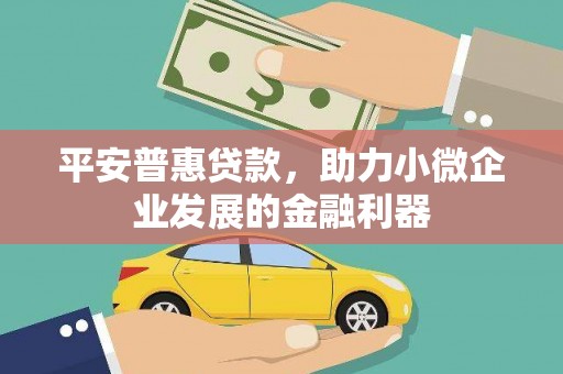 市中区平安普惠贷款，助力小微企业发展的金融利器