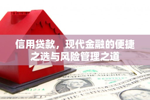 市中区信用贷款，现代金融的便捷之选与风险管理之道