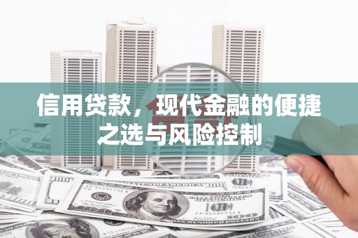 市中区信用贷款，现代金融的便捷之选与风险控制