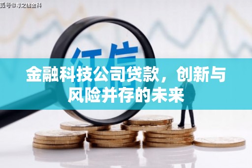 市中区金融科技公司贷款，创新与风险并存的未来