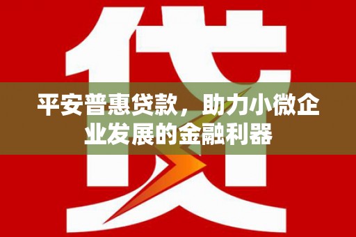 市中区平安普惠贷款，助力小微企业发展的金融利器
