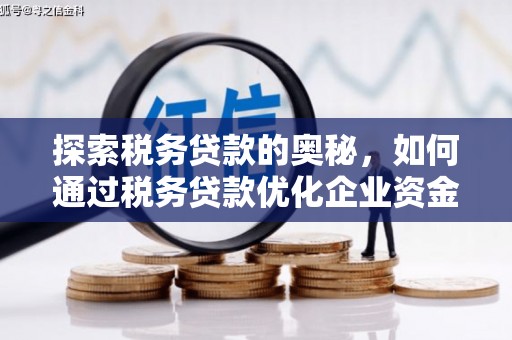 市中区探索税务贷款的奥秘，如何通过税务贷款优化企业资金流
