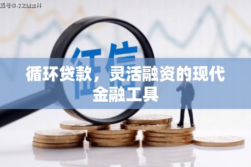 市中区循环贷款，灵活融资的现代金融工具