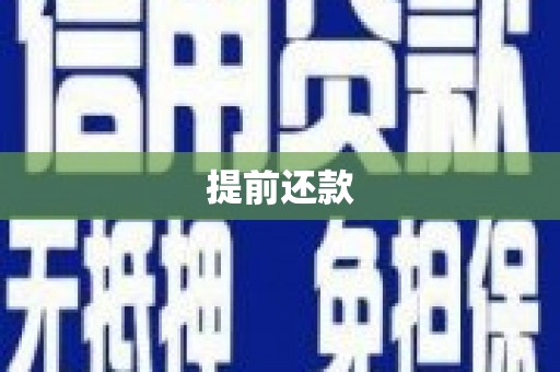 市中区提前还款