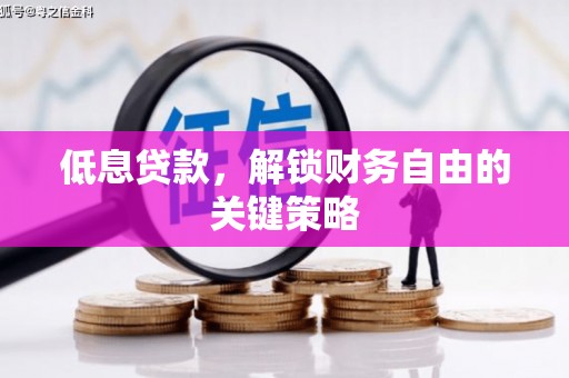 市中区低息贷款，解锁财务自由的关键策略