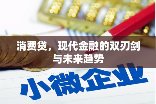 市中区消费贷，现代金融的双刃剑与未来趋势