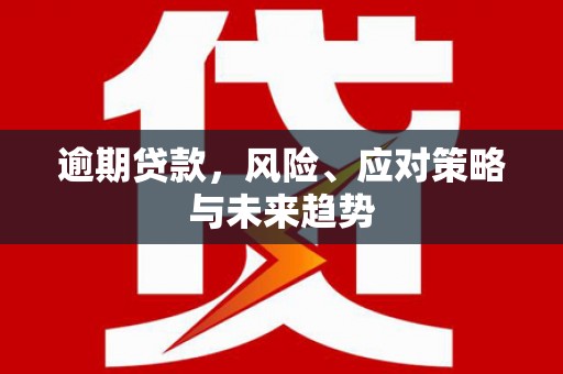 市中区逾期贷款，风险、应对策略与未来趋势