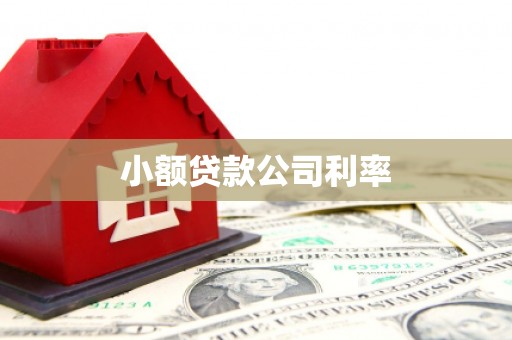 市中区小额贷款公司利率