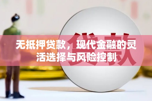 市中区无抵押贷款，现代金融的灵活选择与风险控制