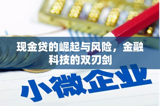 市中区现金贷的崛起与风险，金融科技的双刃剑