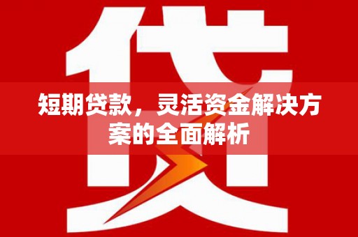 市中区短期贷款，灵活资金解决方案的全面解析