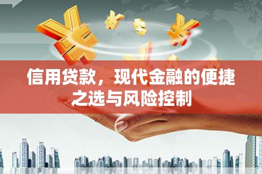 市中区信用贷款，现代金融的便捷之选与风险控制