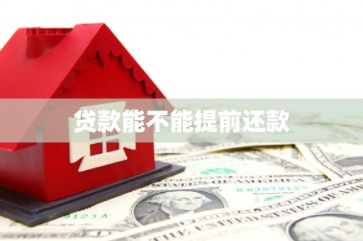 市中区贷款能不能提前还款