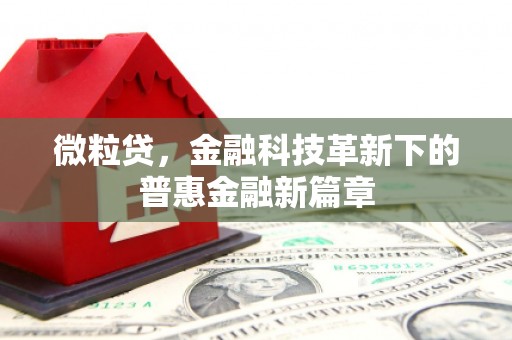 市中区微粒贷，金融科技革新下的普惠金融新篇章