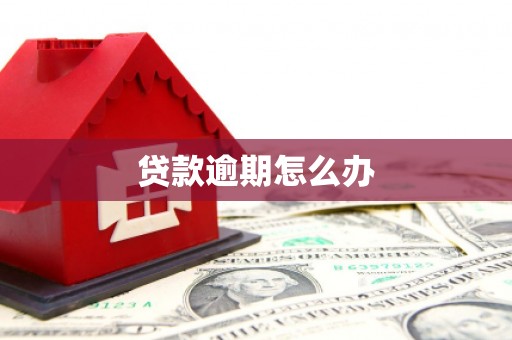 市中区贷款逾期怎么办