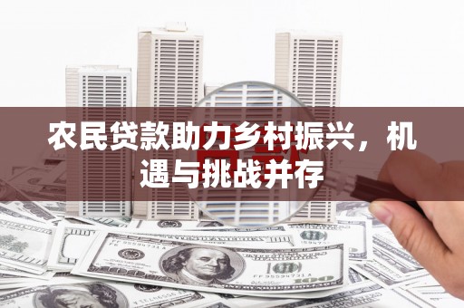 市中区农民贷款助力乡村振兴，机遇与挑战并存