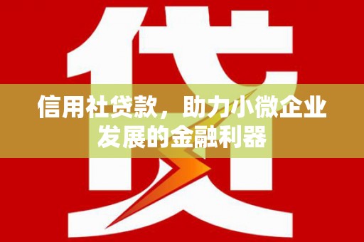 市中区信用社贷款，助力小微企业发展的金融利器