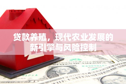 市中区贷款养殖，现代农业发展的新引擎与风险控制