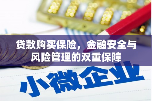 市中区贷款购买保险，金融安全与风险管理的双重保障