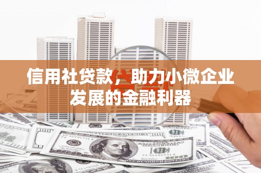 市中区信用社贷款，助力小微企业发展的金融利器