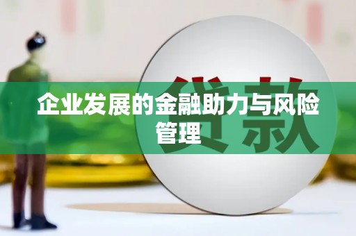 市中区企业发展的金融助力与风险管理