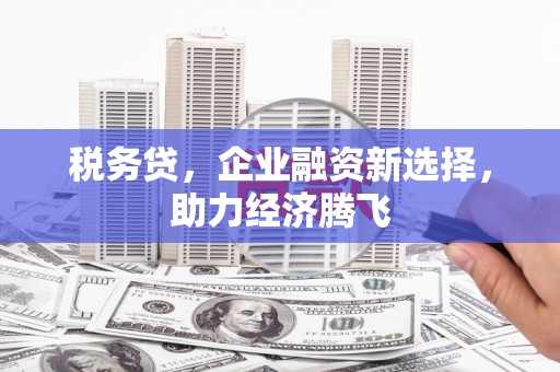 市中区税务贷，企业融资新选择，助力经济腾飞