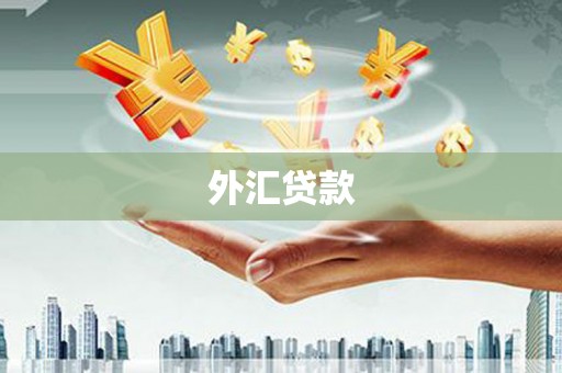 市中区外汇贷款