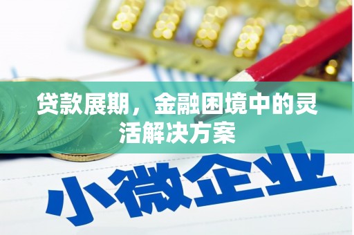 市中区贷款展期，金融困境中的灵活解决方案