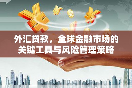 市中区外汇贷款，全球金融市场的关键工具与风险管理策略
