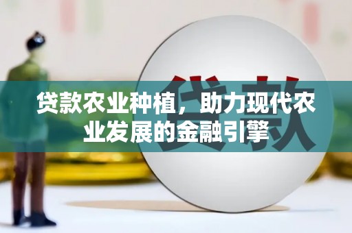 市中区贷款农业种植，助力现代农业发展的金融引擎