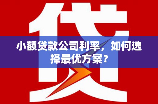 市中区小额贷款公司利率，如何选择最优方案？