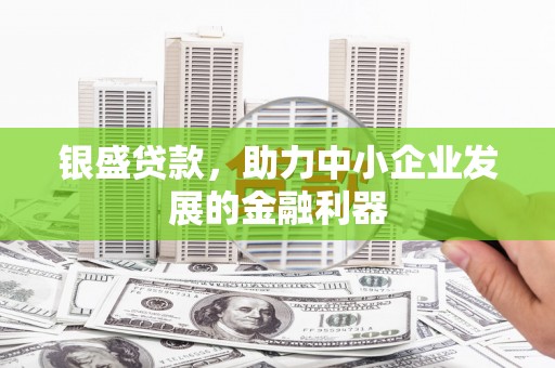 市中区银盛贷款，助力中小企业发展的金融利器
