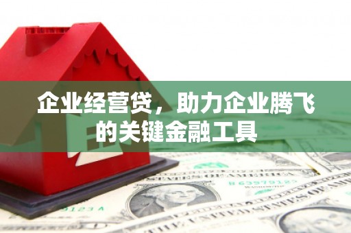 市中区企业经营贷，助力企业腾飞的关键金融工具