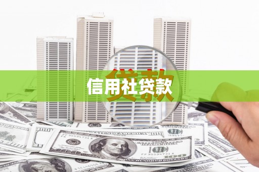 市中区信用社贷款