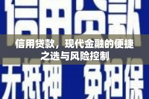 市中区信用贷款，现代金融的便捷之选与风险控制