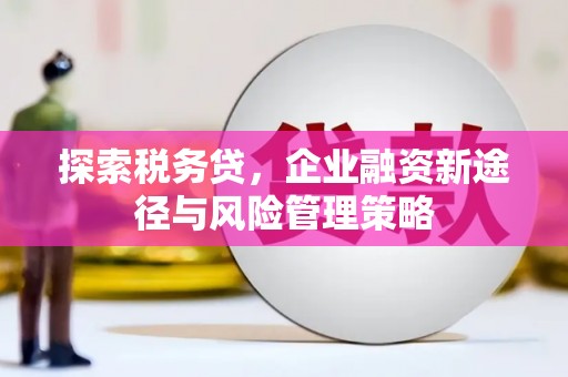 市中区探索税务贷，企业融资新途径与风险管理策略