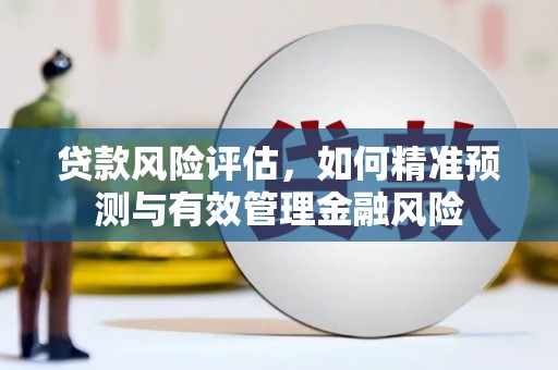 市中区贷款风险评估，如何精准预测与有效管理金融风险