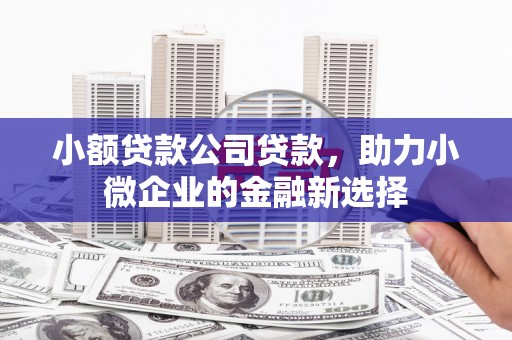 市中区小额贷款公司贷款，助力小微企业的金融新选择