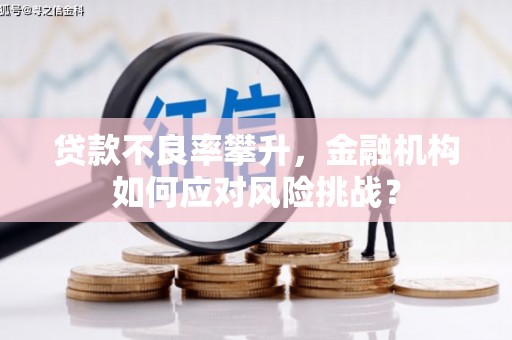 市中区贷款不良率攀升，金融机构如何应对风险挑战？