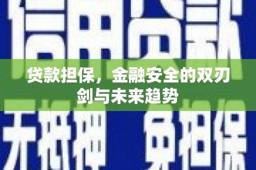 市中区贷款担保，金融安全的双刃剑与未来趋势