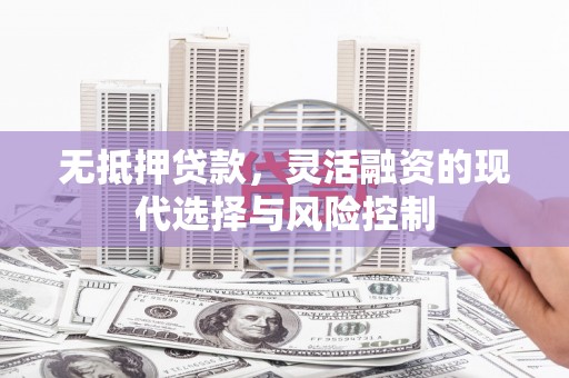 市中区无抵押贷款，灵活融资的现代选择与风险控制