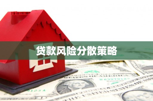 市中区贷款风险分散策略