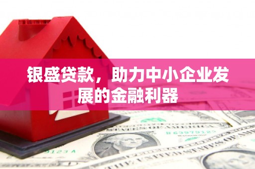 市中区银盛贷款，助力中小企业发展的金融利器
