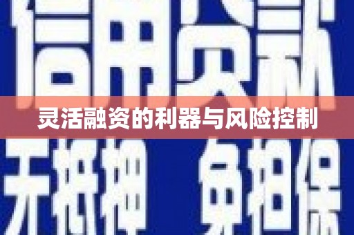 市中区灵活融资的利器与风险控制