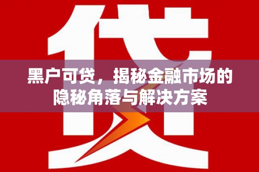市中区黑户可贷，揭秘金融市场的隐秘角落与解决方案