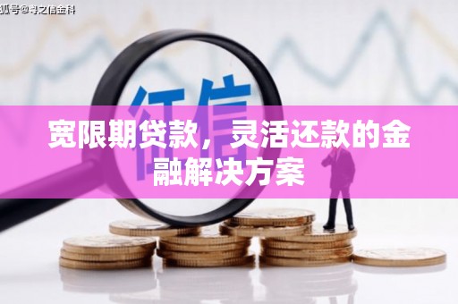市中区宽限期贷款，灵活还款的金融解决方案