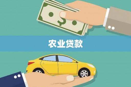 市中区农业贷款