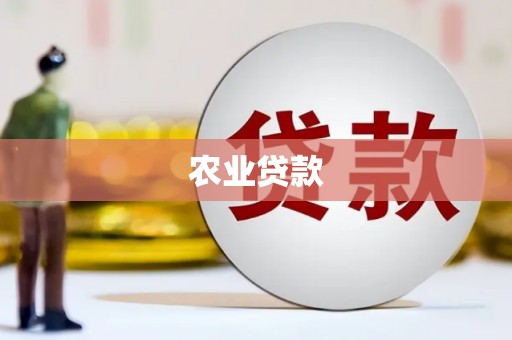 市中区农业贷款